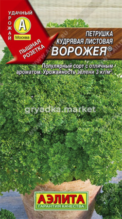 Петрушка Ворожея кудрявая Аэлита (листья гофрированные)