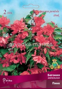 Бегония ампельная Пинк 2шт.4-5
