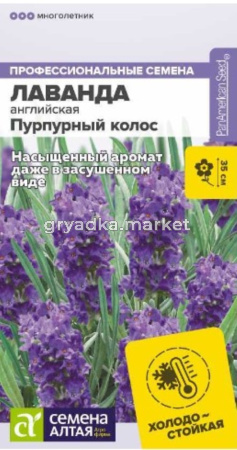 Лаванда Пурпурный колос узколистная-Сем Алт-цп 5 шт. многолетник 