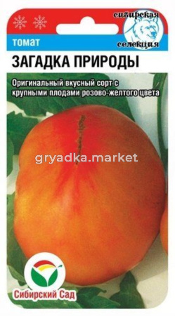 Томат Загадка природы Сиб сад-желтые на срезе роз.