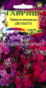 Примула Джульетта, мягковатая 10шт Гавриш