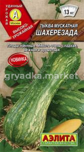 Тыква Шахерезада мускатная (Аэлита)