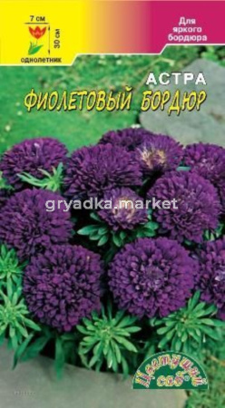 Астра Бордюр Фиолетовый 0,3г.Цвет.сад.