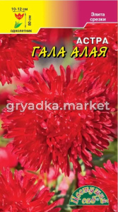 Астра Гала Алая густомахровая игольчатая 0.1г Одн 80см (Цвет сад)