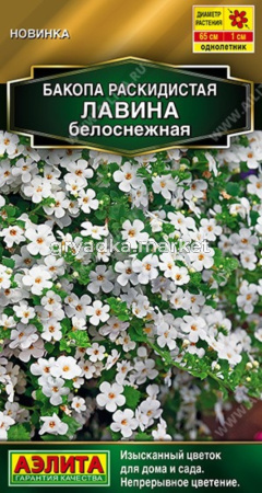 Бакопа Лавина белоснежная 3шт Одн 60 см (Аэлита)