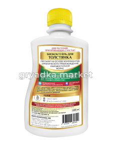 Толстянка зад