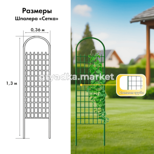КТ Сетка 02