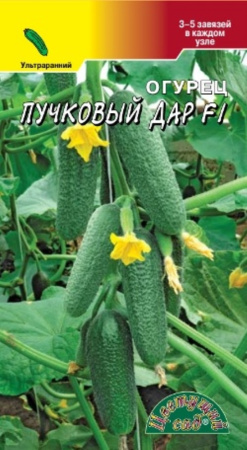 Огурец Пучковый дар F1 0.3г Парт Ранн (Цвет сад) Огурец Пучковый дар F1 0.3г Парт Ранн (Цвет сад)