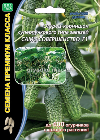 Огурец Само Совершенство F1 5шт. (УД) ЧСС