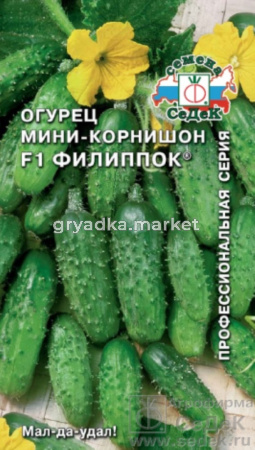 Огурец Филиппок F1 0,3г (Седек)