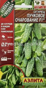 Огурец Пучковое очарование 10шт Парт Ранн (Аэлита) Зеленая гирлянда