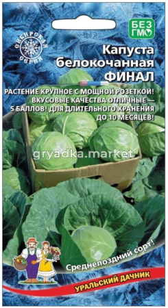 Скриншот 17-08-2026 165611