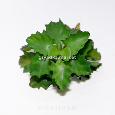 Исскуственные цветы суккулент h15см 9165-26