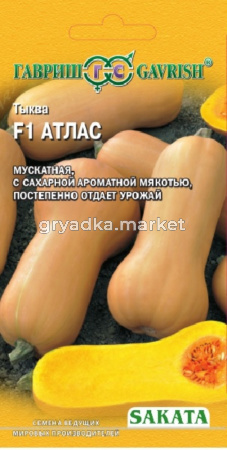 Тыква Атлас F1 5шт.-мускат,с сах.мякотью- (Саката) Гавриш
