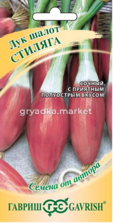 Лук шалот Стиляга 0,3г Ранн (Гавриш)