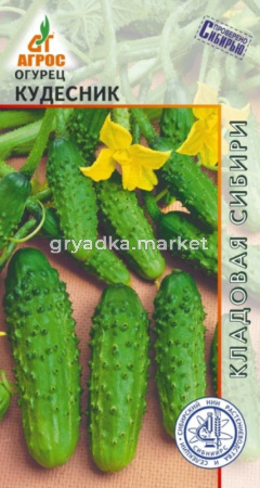 Огурец Кудесник 10шт (Агрос)