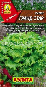 Салат Гранд стар 0,5г Ранн (Аэлита)