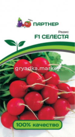 Редис Селеста F1 1г Ранн (Партнер)