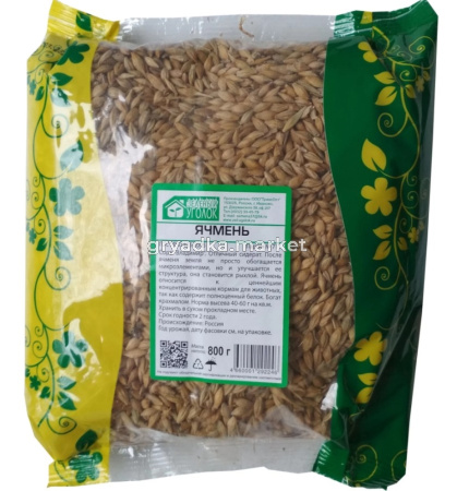 Ячмень 0,8кг-ПОДХОДИТ ДЛЯ ОСЕННЕГО ПОСЕВА- зеленое удобрение, ценная кормовая культура .-10шт