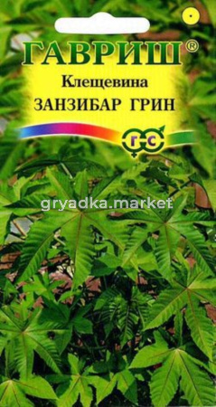 Клещевина Занзибар Грин 5шт. Гавриш