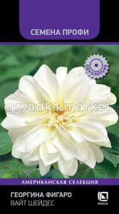 Георгина Фигаро Вайт Шейдес 10шт Одн 35см (Поиск) Семена Профи