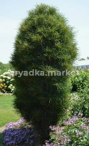 Скриншот 21-04-2026 145407