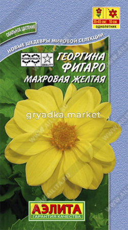 Георгина Фигаро ,махр.,желтый Аэл.