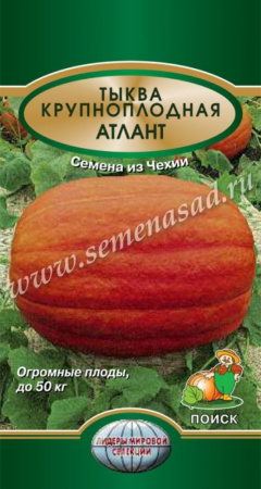 Тыква Крупноплодная Атлант (ЦВх) 5шт.