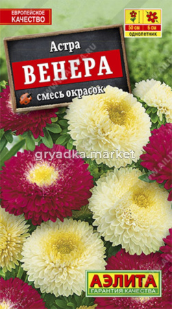 Астра Венера (Аэлита)