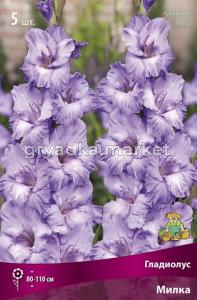 Гладиолус крупноцветковый Милка 5шт (нежно-сиренево-голубой, 12-14)
