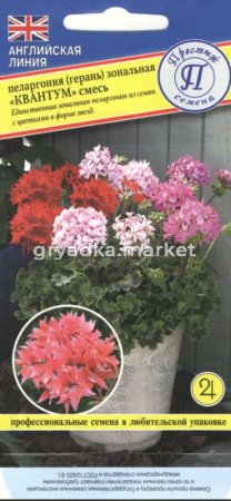 Пеларгония Квантум смесь зон 3шт (Престиж)