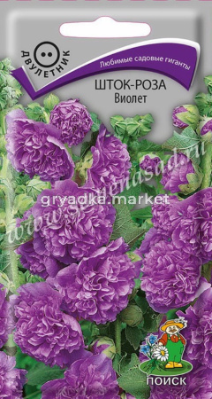 Шток-роза Виолет (ЦВ) (