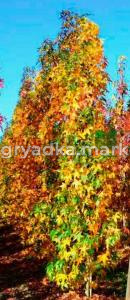 Скриншот 21-04-2026 111516