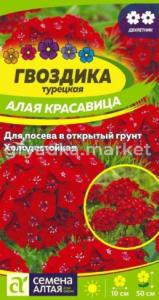 Скриншот 20-08-2026 162535