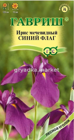 Ирис Синий флаг мечевидный 3шт Мн 120см (Гавриш)