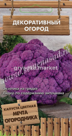 Капуста цветная Мечта огородника 0.1г (Поиск) Декоративный огород
