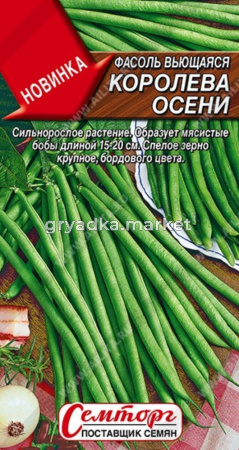 Фасоль Королева осени спаржева вьющаяся 3г (Аэлита)