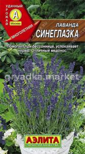 Лаванда Синеглазка Аэлита
