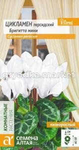 Цикламен Бригитта мини -Сем Алт-цп 3 шт.