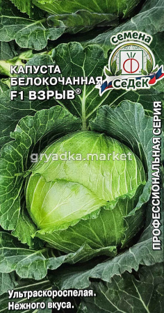 Капуста бк Взрыв F1 0,1г Ранн (Седек)