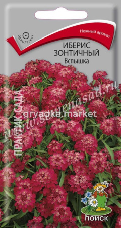 Иберис Вспышка 0,3г.Поиск