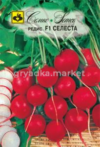 Редис Селеста F1 Семко
