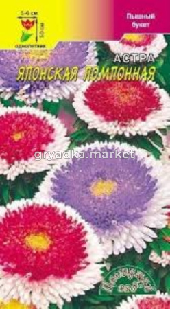 Астра Японская, помпон.смесь Цвет.Сад