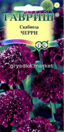 Скабиоза Черри пурпурная 0,5г. Гавриш