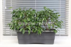 Ящик балконный. пласт. №2 графит L480 h170 -12