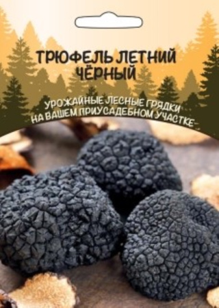 Мицелий Трюфель Летний Черный (ССПК) Новинка!!!