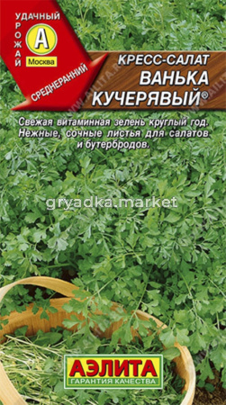 Кресс салат Ванька-кучерявый (Аэлита)