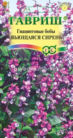 Долихос (гиацинтовые бобы) Вьющаяся сирень 4шт.Н14 Гавриш