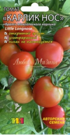 Томат Карлик нос