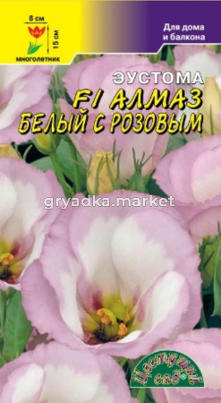 Эустома F1 Алмаз Белый с Розовым (Цвет сад)